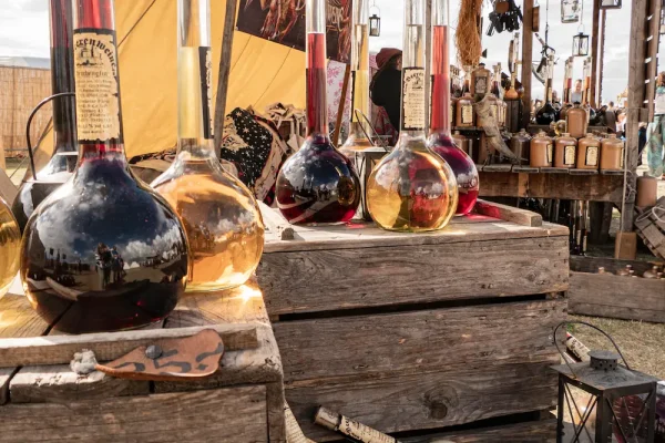 Wikinger_2022_11 Wikinger_2022_11